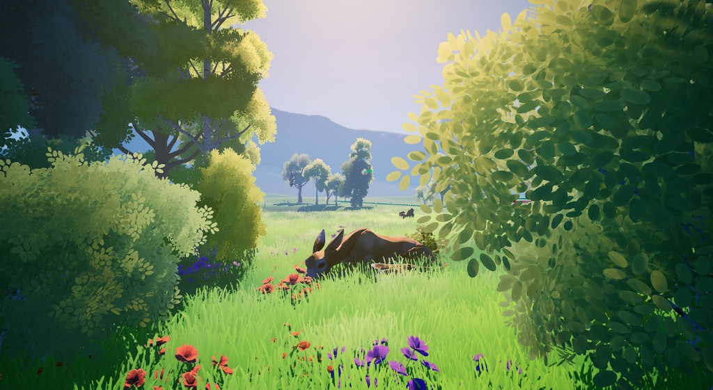 A Kryne grazing in a sunlit Drift meadow